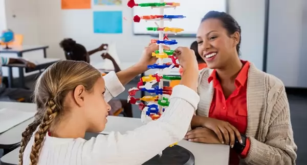 Could a primary teacher be the most rewarding role?